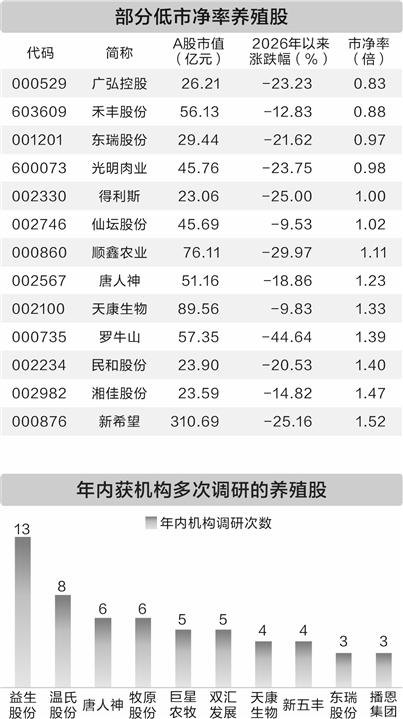 养殖板块底部反弹 政策加码改善生猪供需